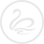 Logotipo de cisne negro estilizado dentro de un círculo, mostrando su silueta elegante y un reflejo ondulante, ideal para belleza avanzada.